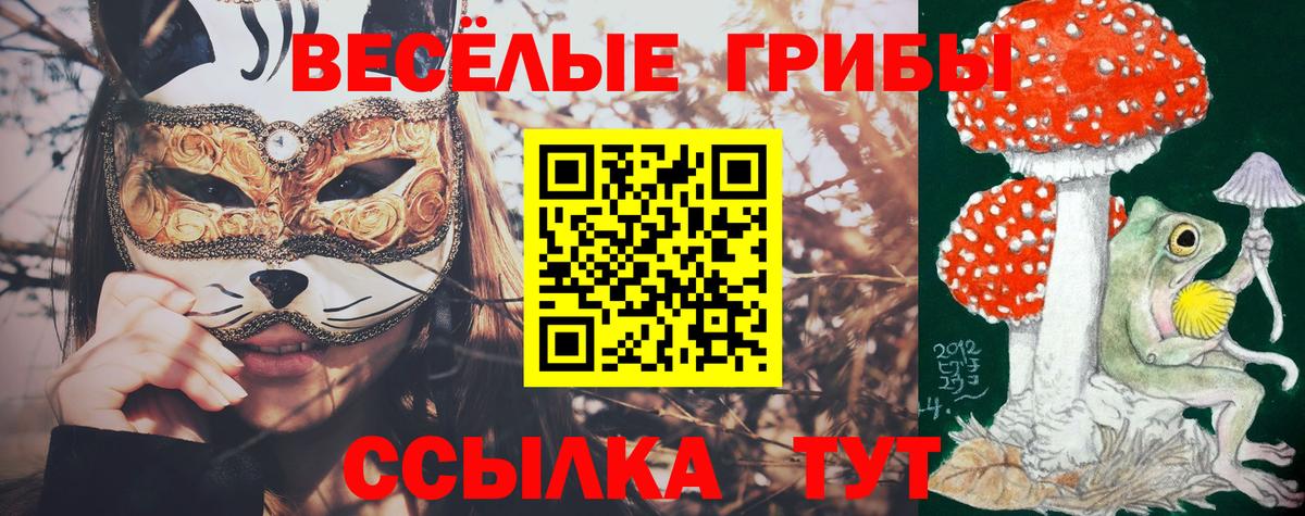 Псилоцибиновые грибы прущие грибы  Вход с VPN  Сатка 