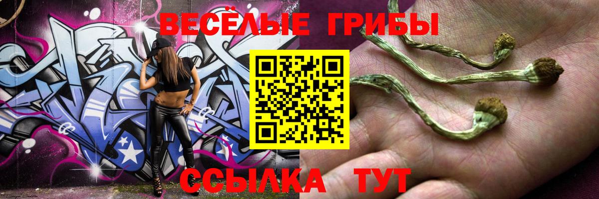 Псилоцибиновые грибы Psilocybe Сатка